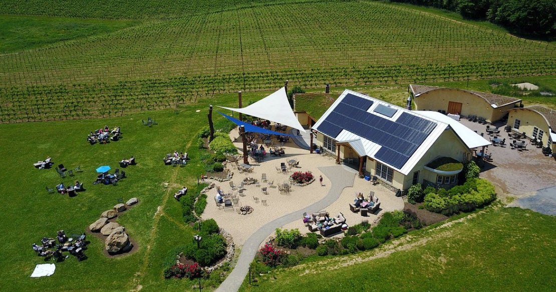 Black Ankle Vineyards, Maryland, USA